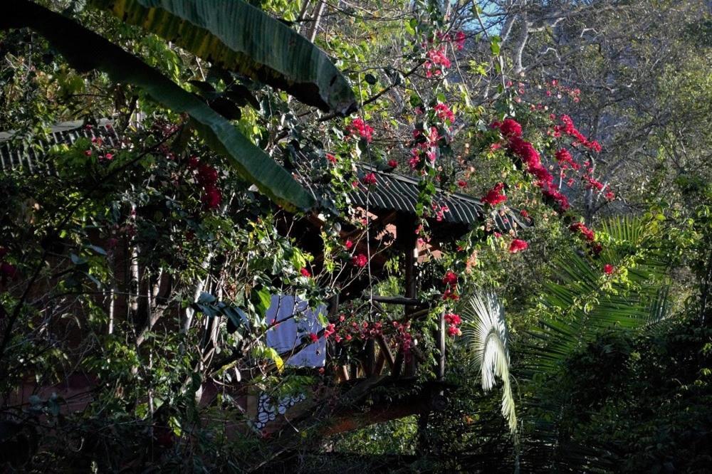 Mariri Jungle Lodge Alto Paraíso de Goiás Esterno foto